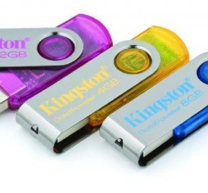 Kingston USB Data Traveler Flash memorija 2GB