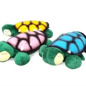 Popularne VELIKE zvezdane kornjače_2