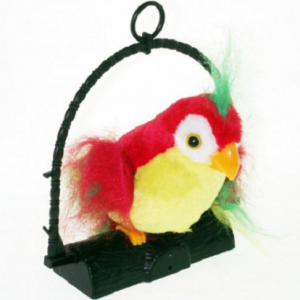 Papagaj koji govori - talking parrot_1
