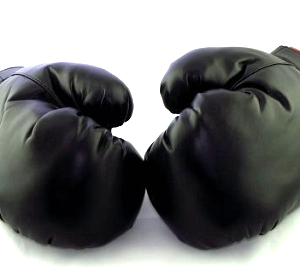 Rukavice za box - kick box za vreću