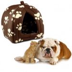 PET HUT Kucica za male pse ili macke - Braon - NOVO 5