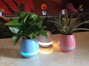 Smart Music Flowerpot - 4u1 3
