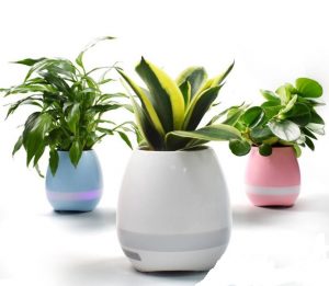 Smart Music Flowerpot - 4u1 2
