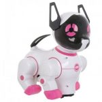 robot pas