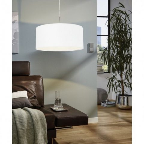 31575-pasteri
