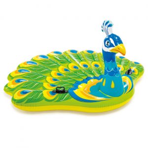 Plutajući Paun - Intex 2