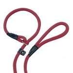 Povodac za pse "Fun Uni" 9mm, 170cm bordo