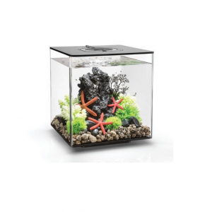 mali ali online prodavnica online prodaja internet kupovina