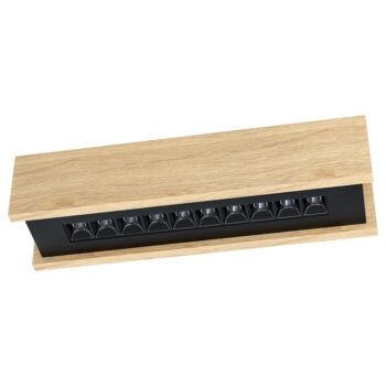 LED PLAFONJERA TERMINI 2 39788