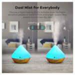 Osvezivac vazduha TaoTronics TT-AD002 ultrasonicni/hladna para/RGB colour/Oil Aromatherapy/Grain - Slika 3