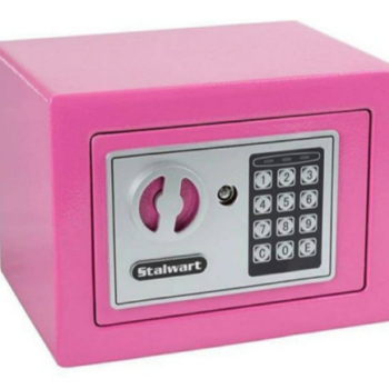 ROZE Sef sa sifrom i ključem - Elektronski sef