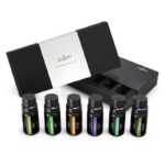Aromatherapy set ulja za osvezivace Anjou AJ-ES001 6 aroma/10ml - Slika 2