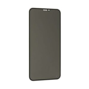 Folija za zastitu ekrana GLASS PRIVACY 2.5D full glue za Iphone XR/11 crna