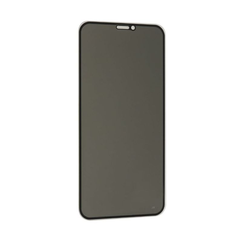Folija za zastitu ekrana GLASS PRIVACY 2.5D full glue za Iphone XR/11 crna