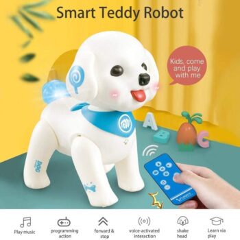 PAMETAN ROBO PAS