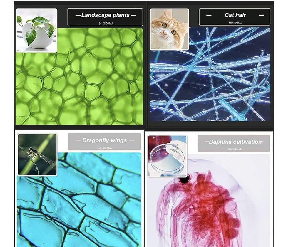 viber_image_2023-08-25_13-42-03-783