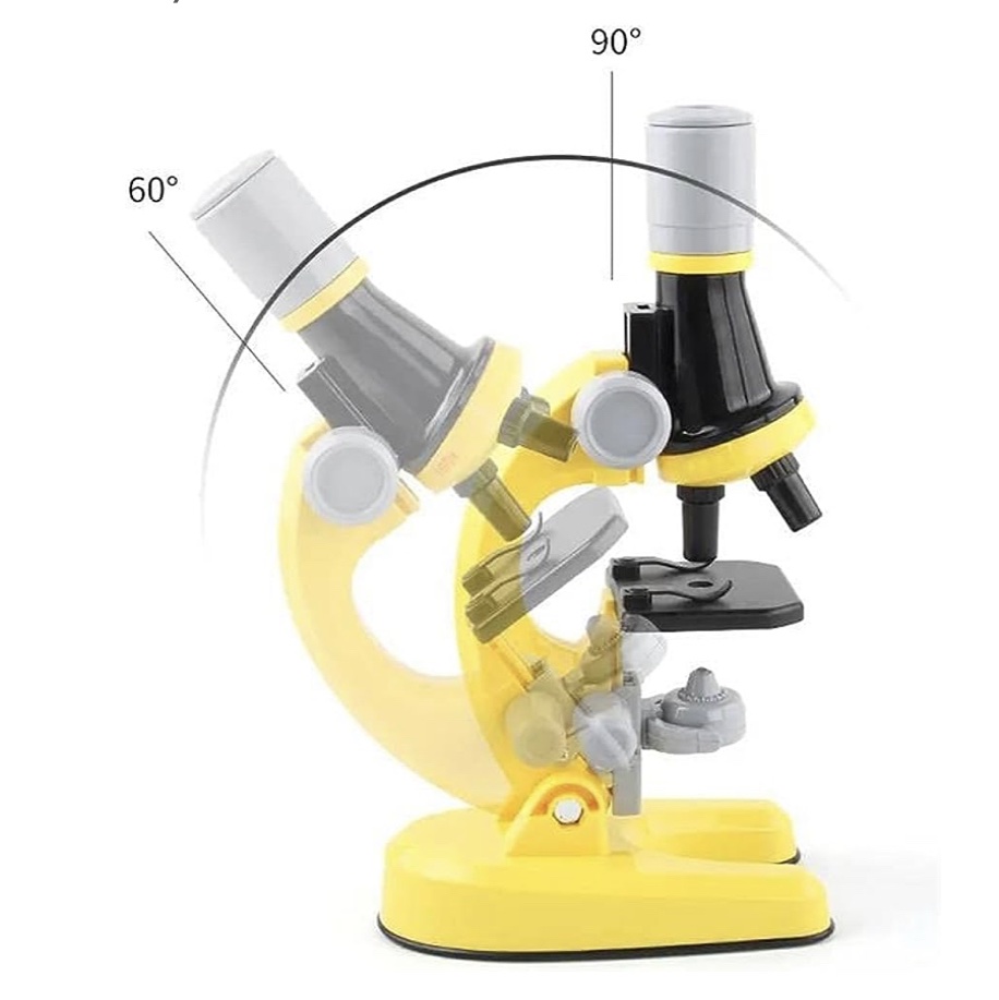 viber_image_2023-08-25_13-42-04-149