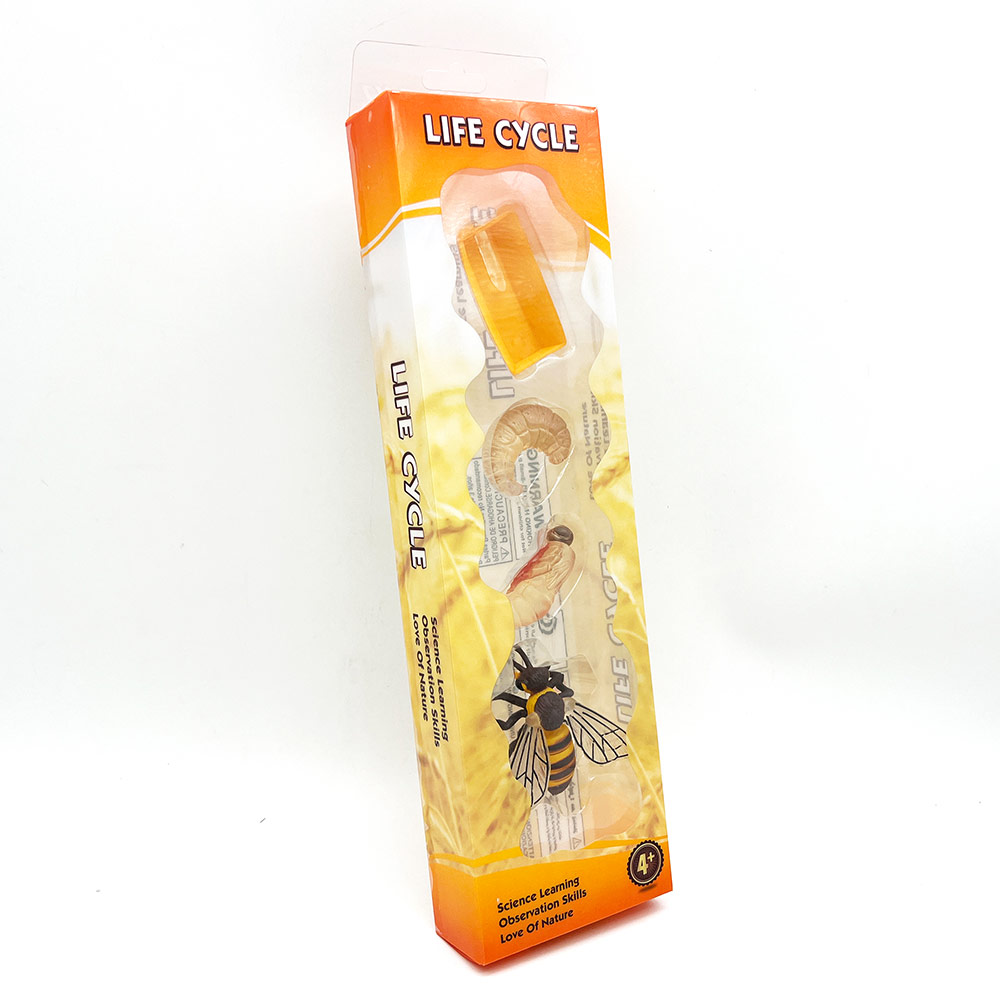 zivotni-ciklus-pcele-set-od-4-dela-te22060987-zivotni-ciklus-pcela-set-od-4-dela-w_63245c2419a91