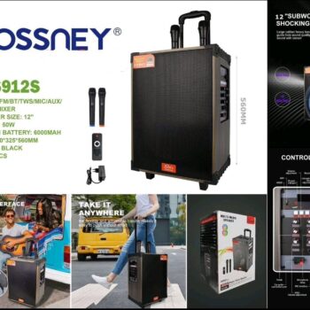 Blutut Bluetooth karaoke zvucnik + pojacalo za gitaru BOSSNEY  JQS912