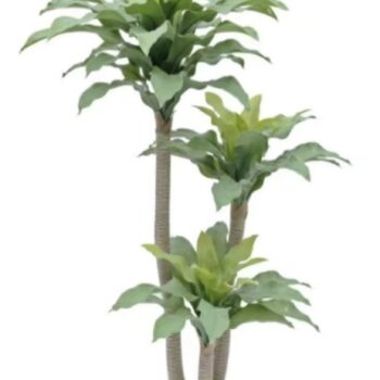 Vestacko DRVO DRACAENA 145 cm - Dekorativno drvo
