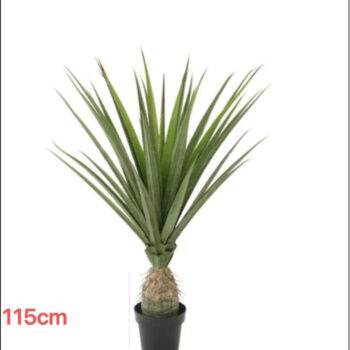 Vestacko DRVO AGAVA 115 cm - Dekorativno drvo