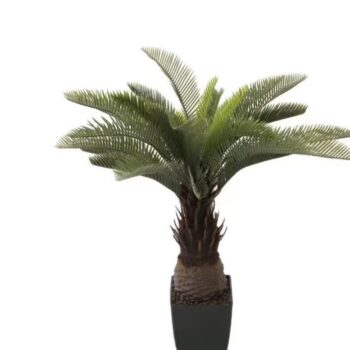 Vestacko DRVO CIKAS PALMA 90 cm - Dekorativno drvo