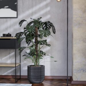 EGLO CRANLEY 1 43791 – podna lampa, crna, prikaz 2