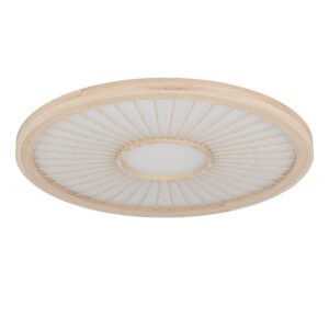 EGLO DEHESA 390296 – plafonjera, bela, glavna fotografija