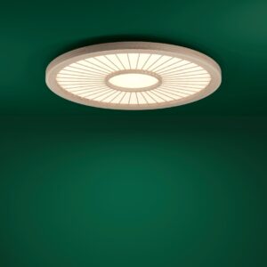 EGLO DEHESA 390296 – plafonjera, bela, prikaz 2