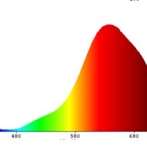 EGLO LM_LED_E27 110097 – led sijalica, prikaz 2