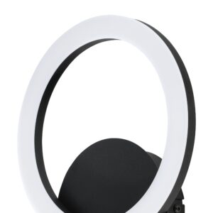 EGLO PARRAPOS-Z 900324 – zidna lampa, crna, prikaz 3