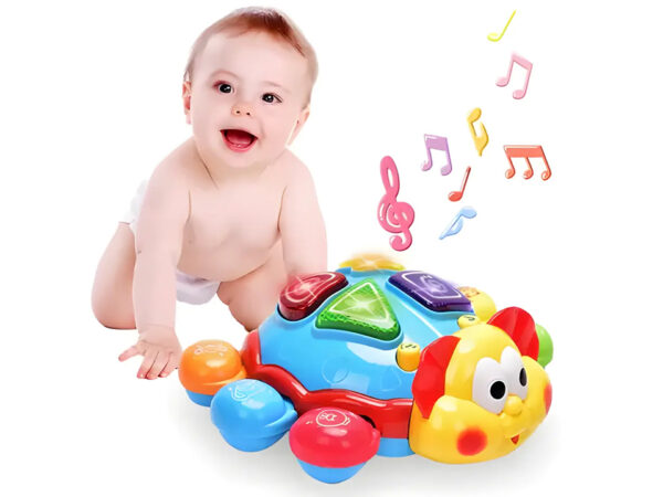 Muzička bubamara – fotografija 1 Muzička bubamara – fotografija 1